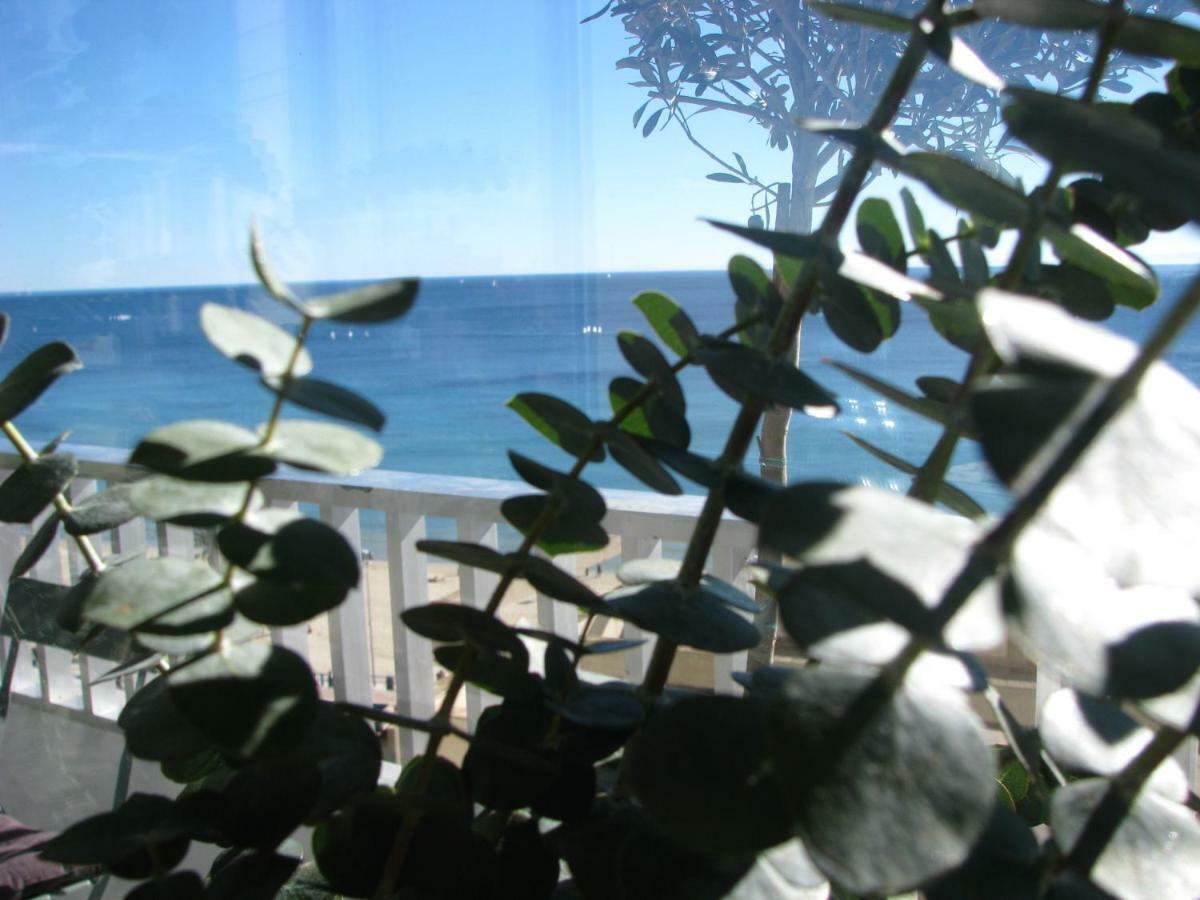 Alicante Ocean View 외부 사진